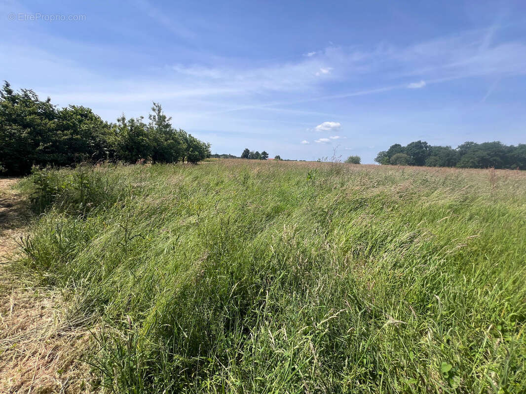 Maison à LA HAIE-FOUASSIERE