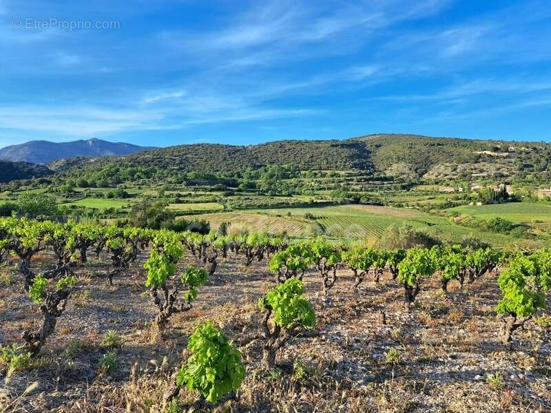 Terrain à MONTPEYROUX