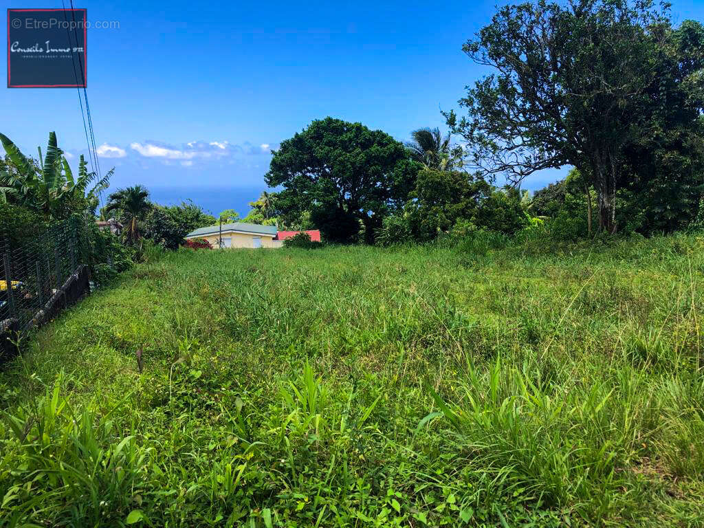 Terrain à bâtir de 1 316 m2 à vendre à Basse-Pointe - photo 2