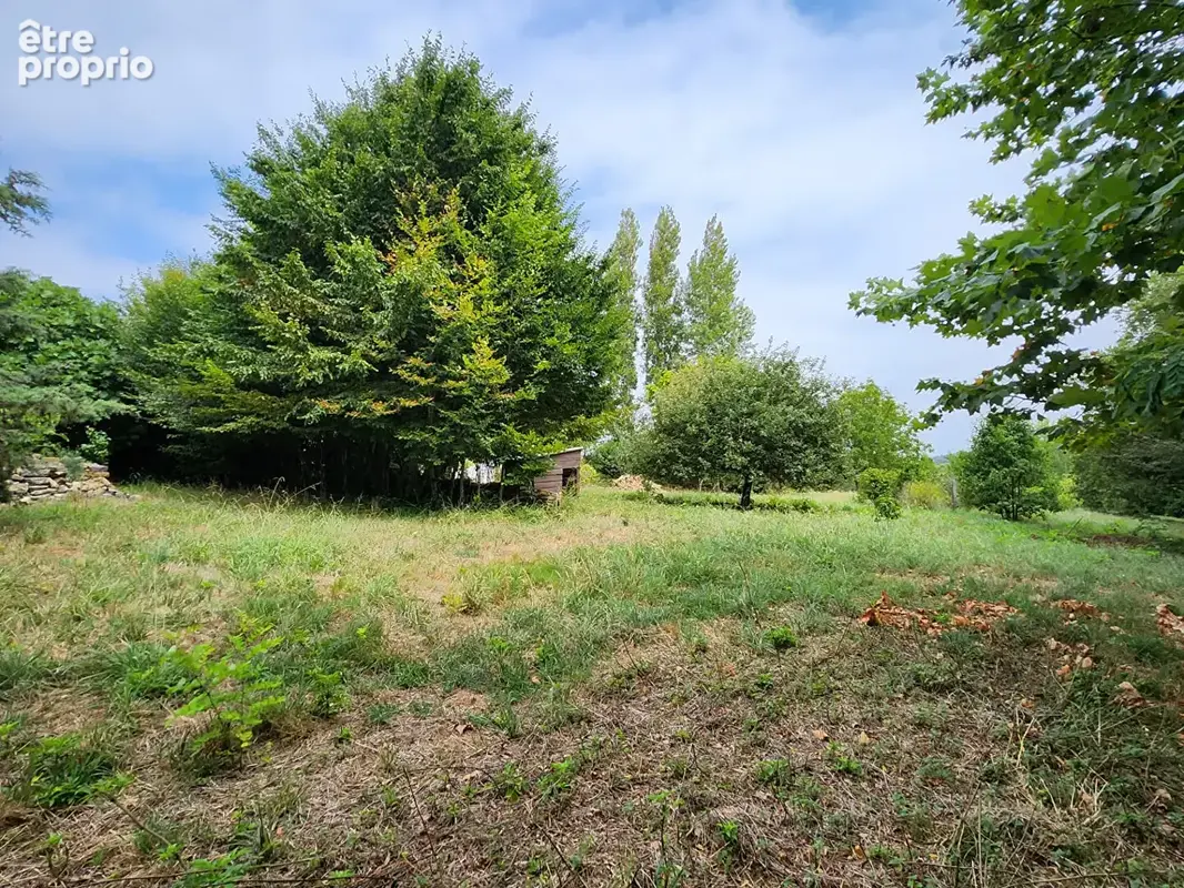 BIDART - Belle Maison de caractère avec son vaste terrain arboré - photo 6