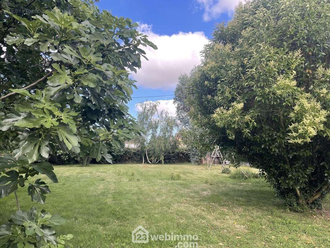 Bel espace de jardin arboré. - Maison à SAINT-VINCENT-SUR-JARD