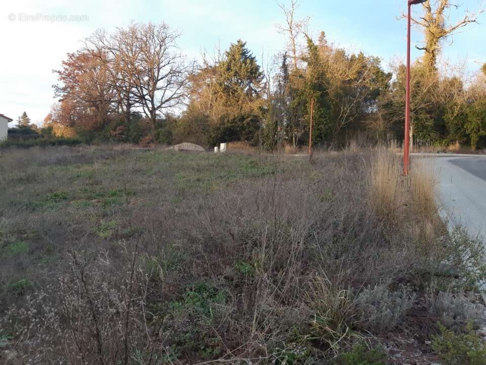 Terrain à CASTELNAU-D'ESTRETEFONDS
