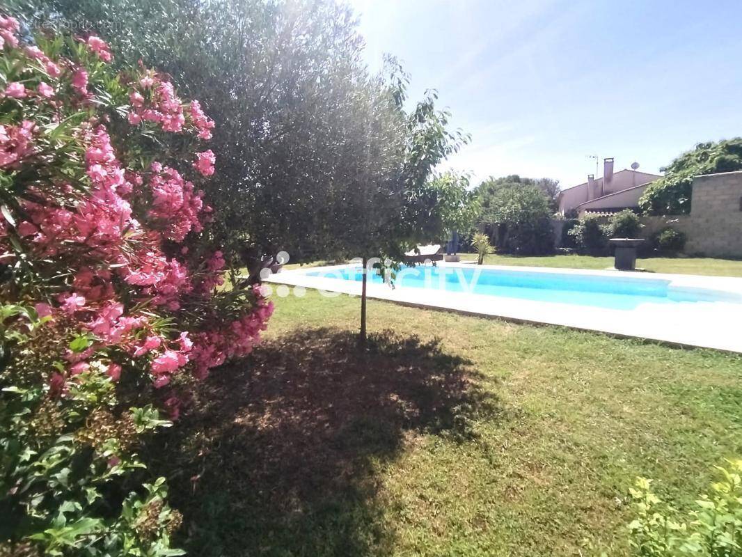 Maison à GALARGUES