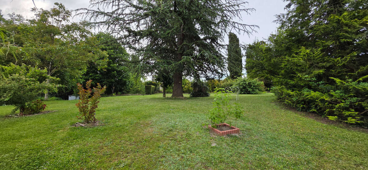 La Roche Posay - photo 13