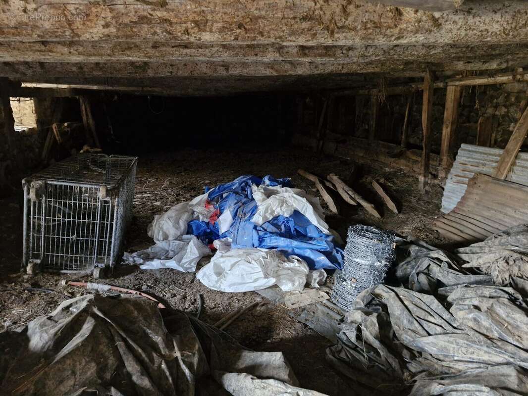 Maison à BESSE-ET-SAINT-ANASTAISE