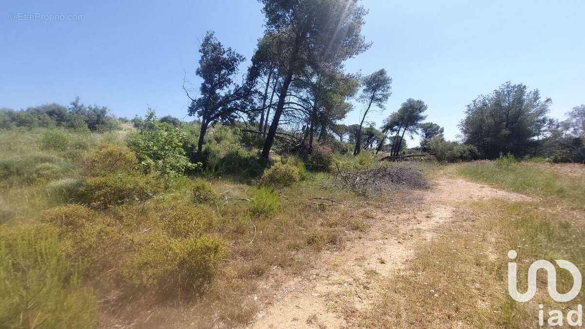 Photo 6 - Terrain à GENERAC