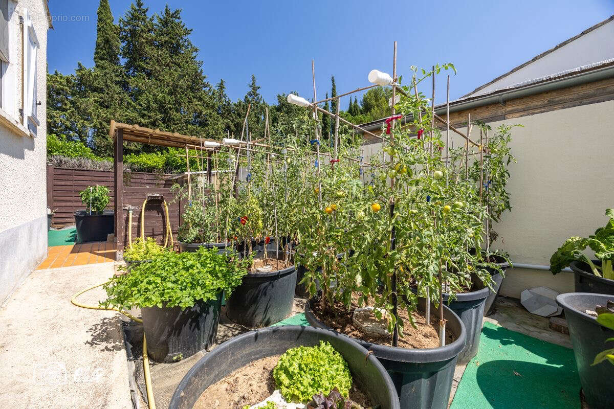 Maison à LANSARGUES