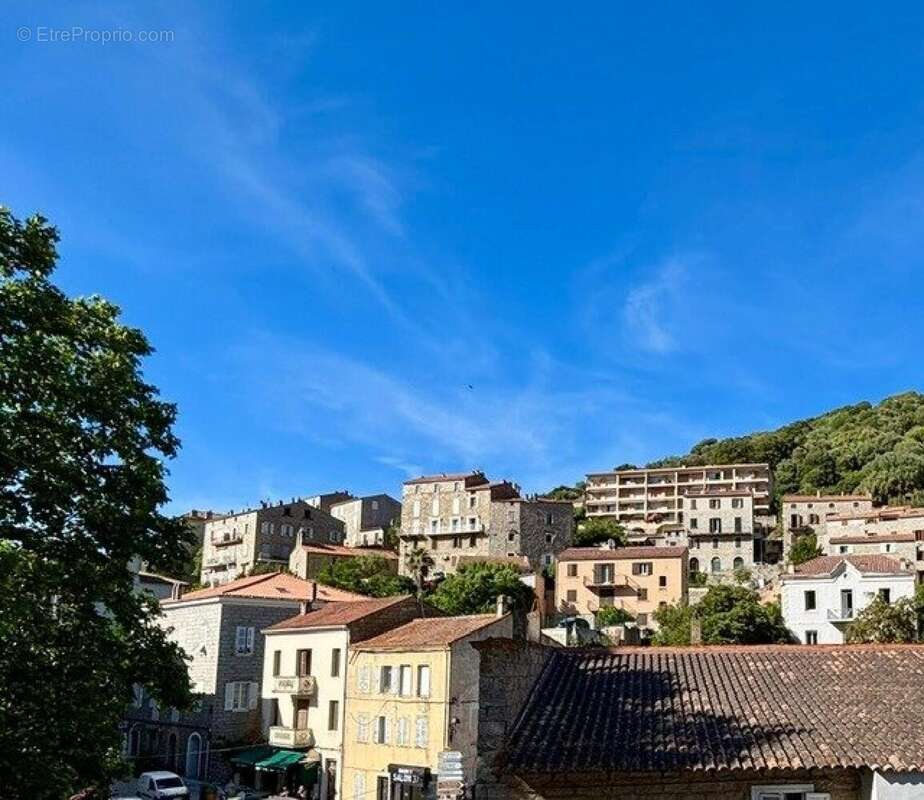 Photo 2 - Appartement à SARTENE