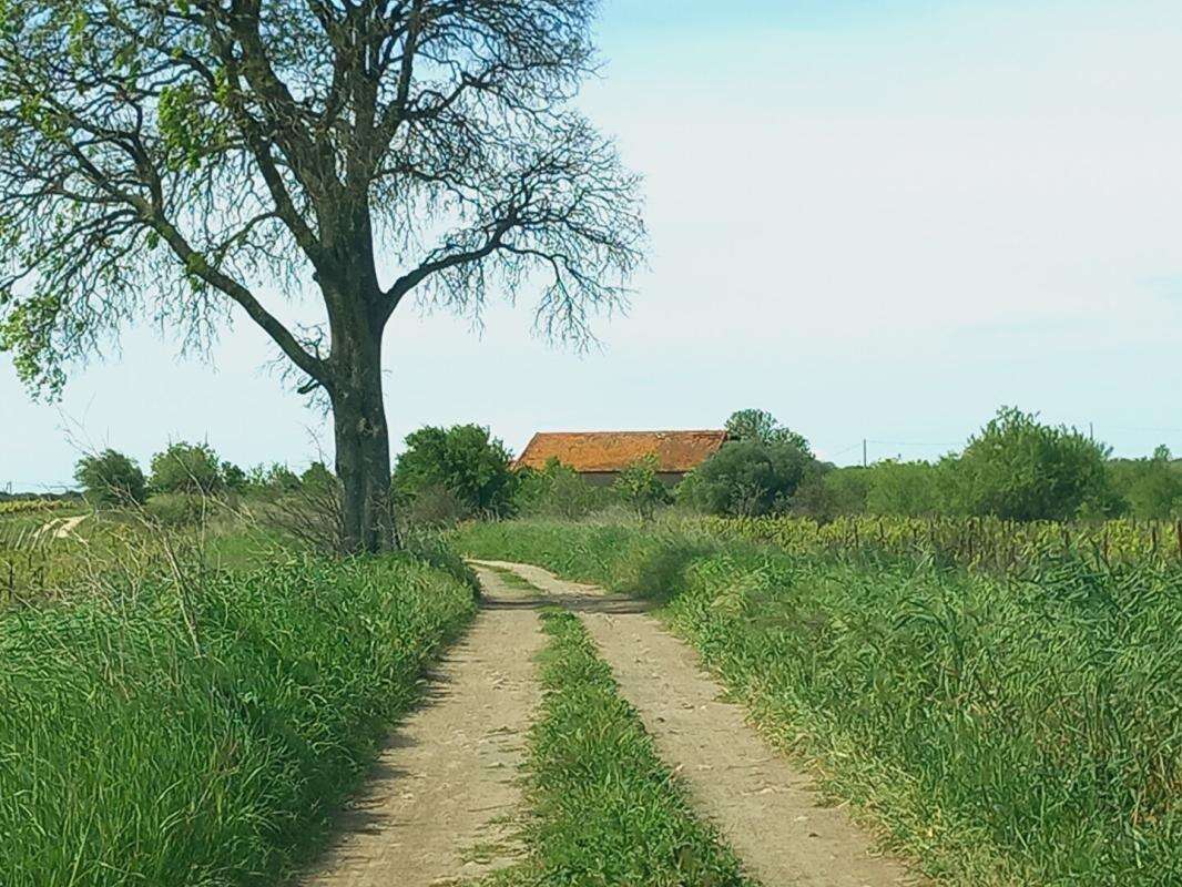 Terrain à CAUX