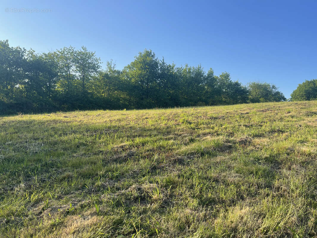 Terrain à ORTHEZ
