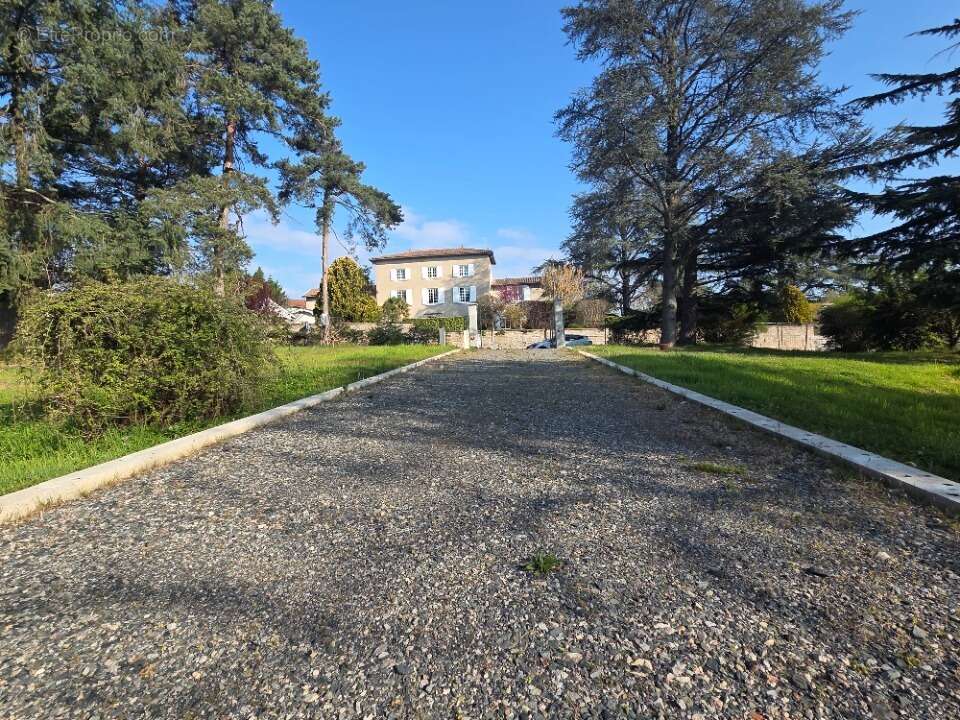 Terrain 743 m² à Dommartin  - photo 4