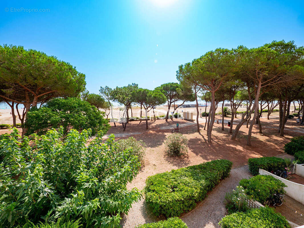 Appartement à ARGELES-SUR-MER