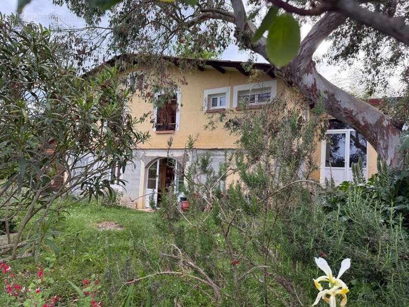 Maison à vendre 8 pièces LOUIT (65) - photo 4