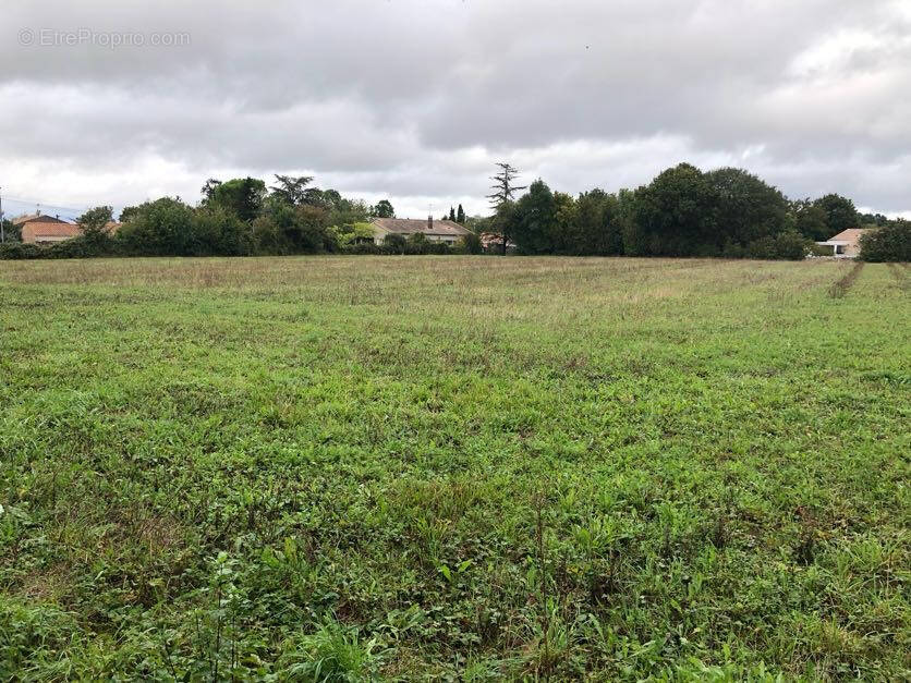 Terrain à LA FOYE-MONJAULT