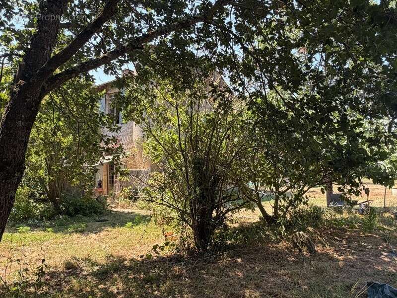 MARCIAC(32): ancienne SEIGNEURIE avec BEAU CHATEAU XIV sur 3,5ha, cachée, au bout du chemin, sans voisin, en campagne, 500m2 hab - photo 8