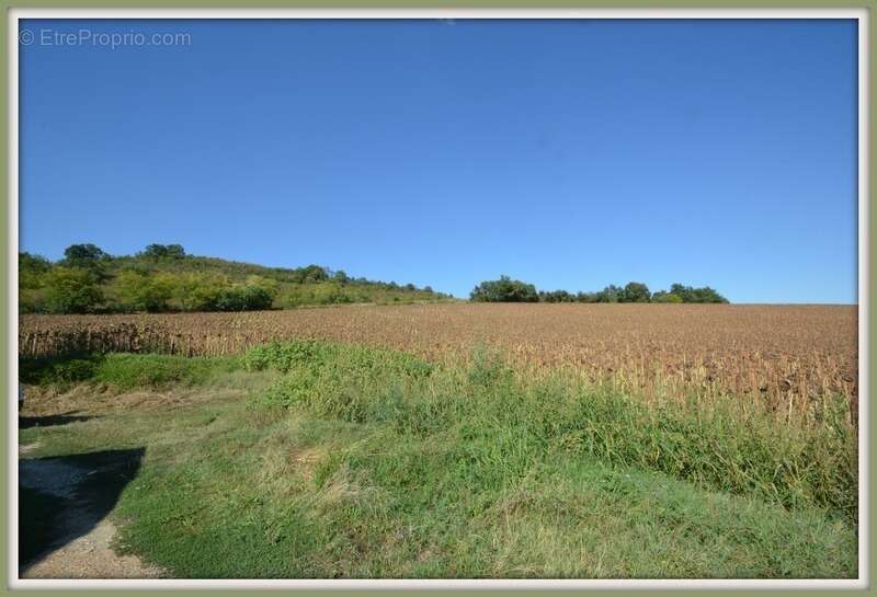 Maison à CLERMONT-SOUBIRAN
