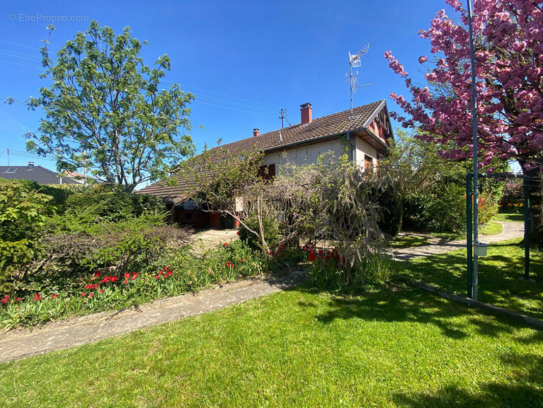 Maison à CERNAY