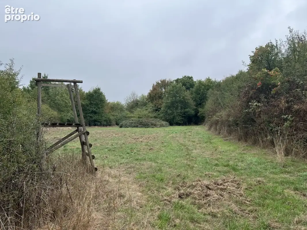 Sud Cher : pté 40 ha : grange réhabilitée, dépendances, étang, prairie, taillis - photo 17