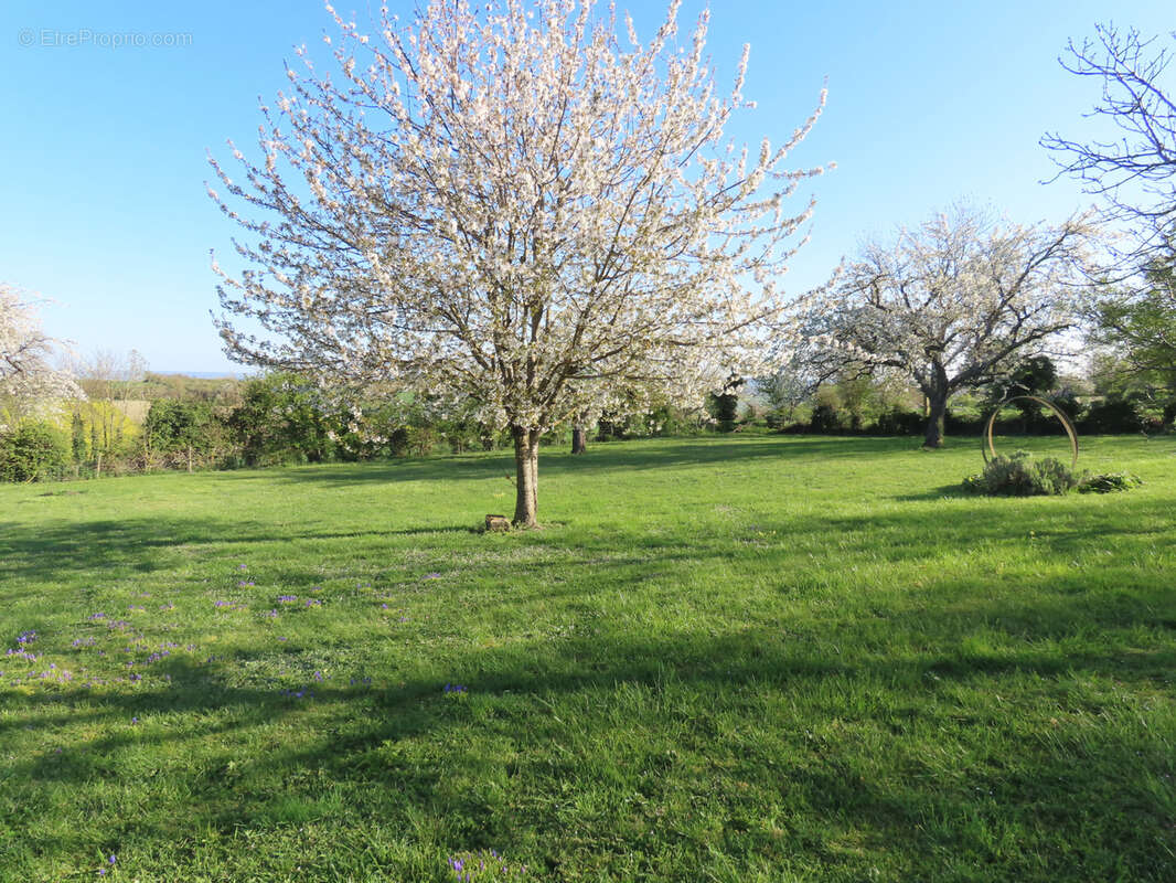 Maison 113 m² à Charroux  - photo 17