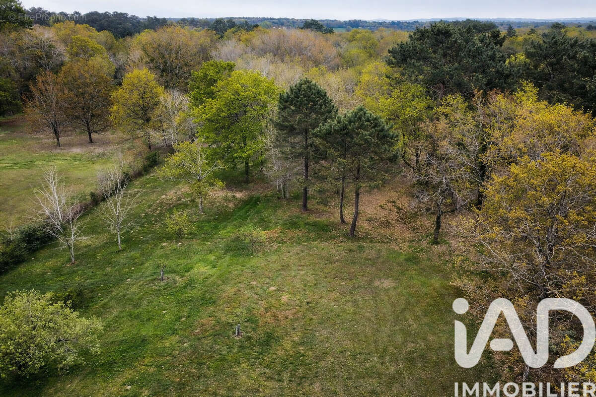 Photo 4 - Maison à SAINT-LAURENT-DES-HOMMES