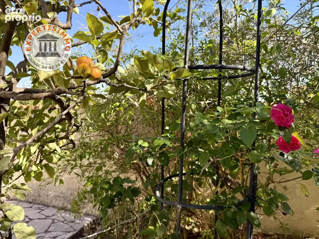 Châteauneuf – plain-pied - jardin 500m²- fort potentiel - photo 14