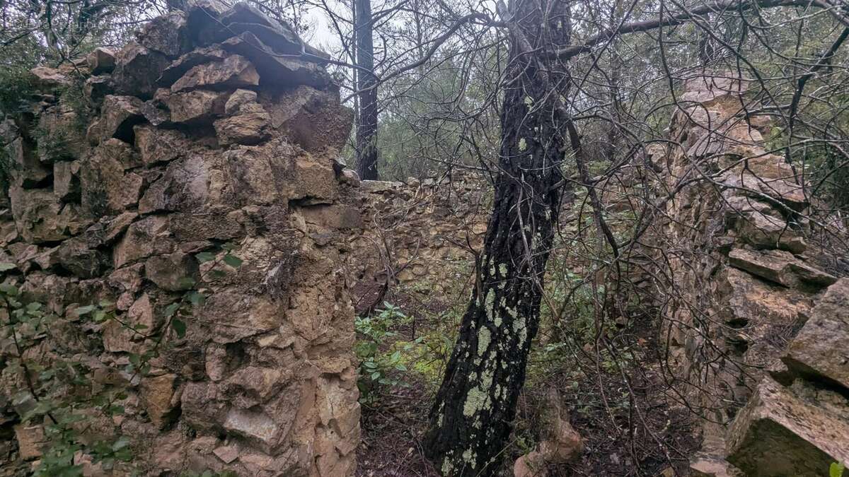 COTIGNAC - Rare à la vente 13.992m² boisés avec ruines de cabanon - photo 5