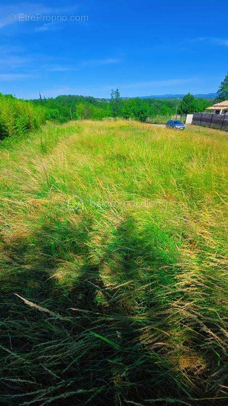 Terrain à RUOMS
