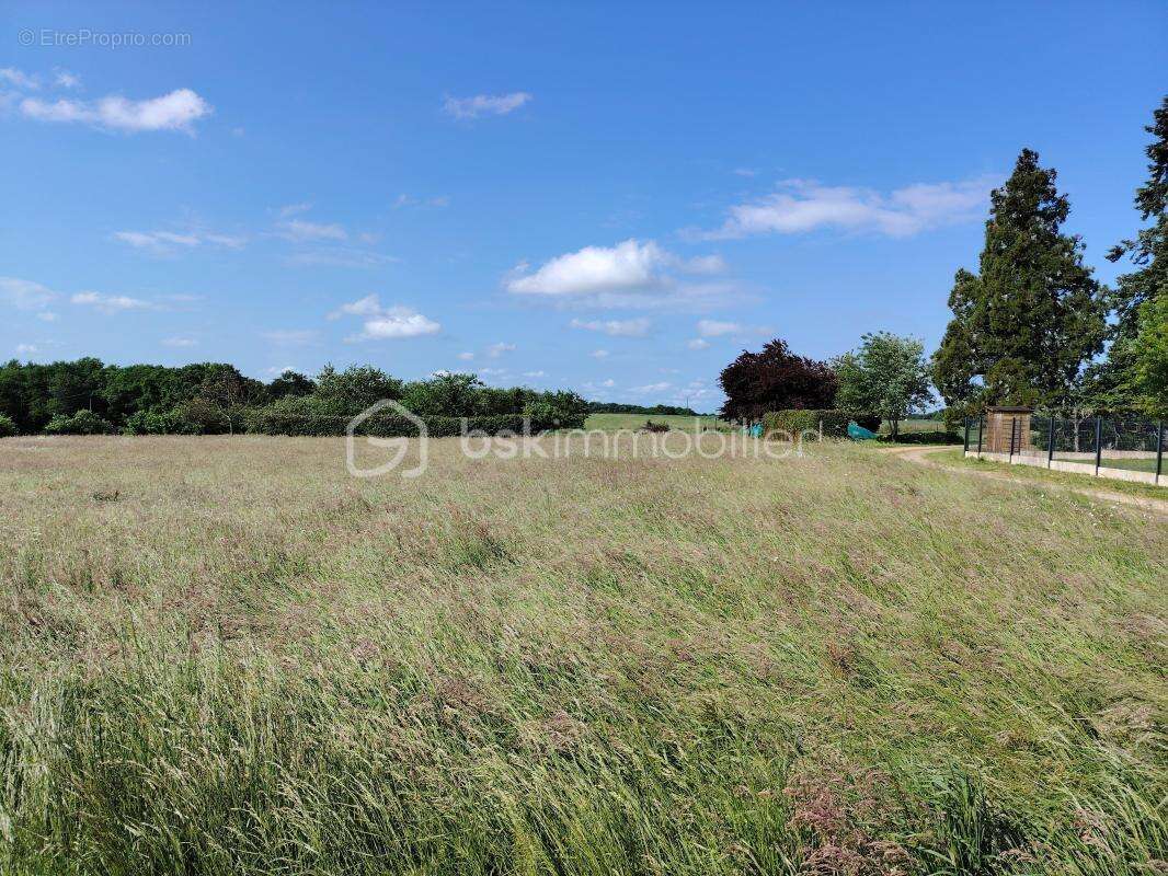 Terrain à CROTELLES