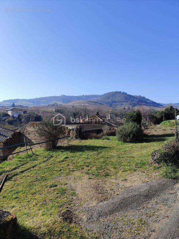 Terrain à VAUX-EN-BEAUJOLAIS