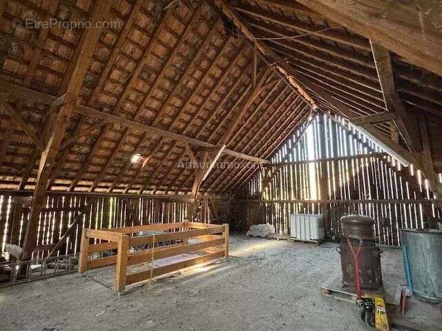 Commerce à ORSCHWIHR