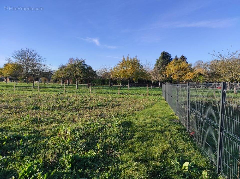 Terrain à LA HAYE-MALHERBE