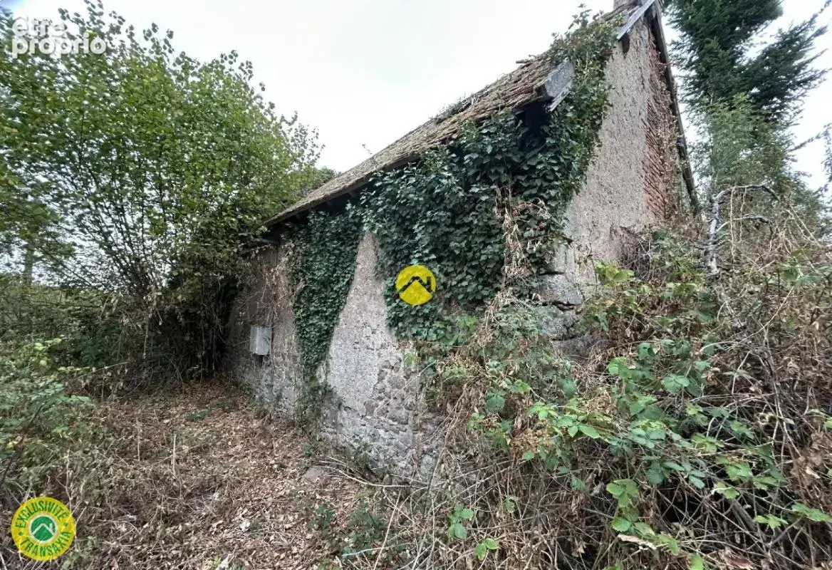 Maison isolée - photo 8