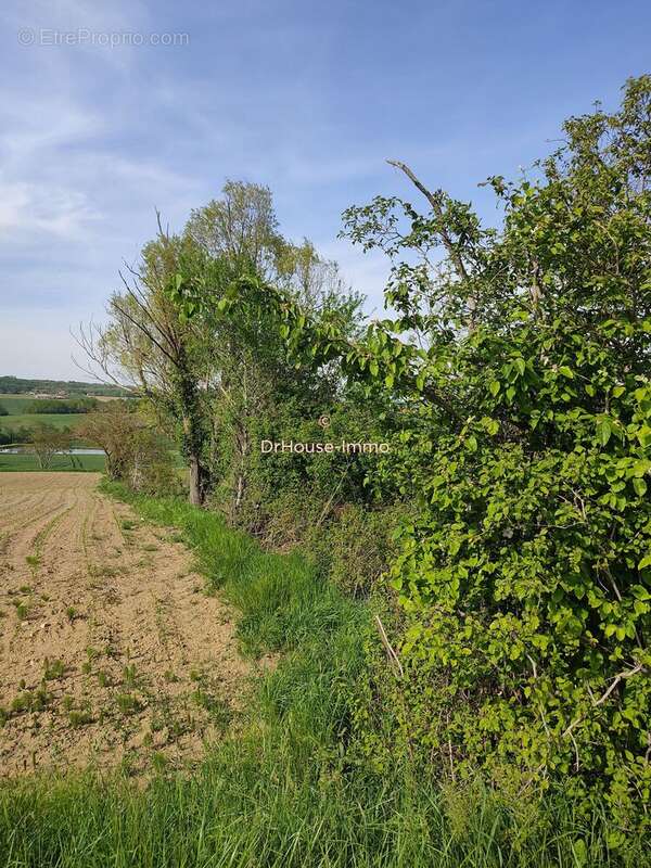 Terrain à LEVIGNAC-DE-GUYENNE