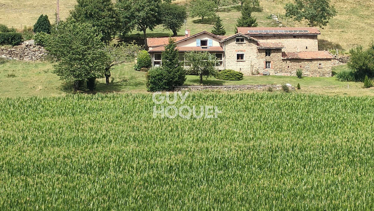 Maison à SAINT-MARTIN-EN-HAUT