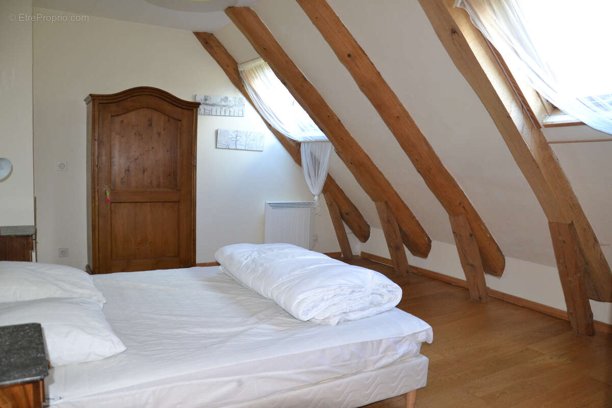 Belle maison composée de 2 gîtes dans un magnifique environnement proche Sancy - photo 15