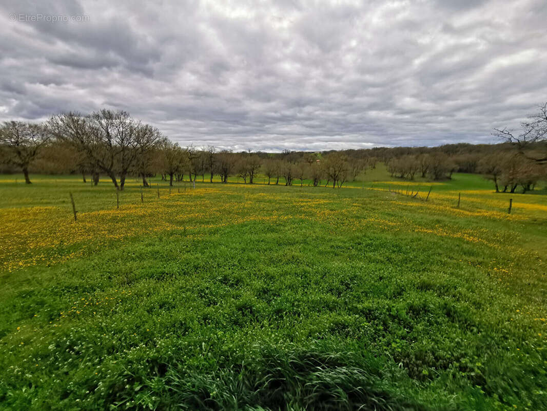 Propriété agricole à proximité de Saint Antonin Noble Val - photo 10