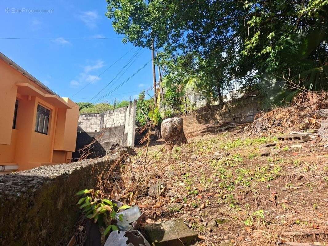 Photo 9 - Maison à LA TRINITE