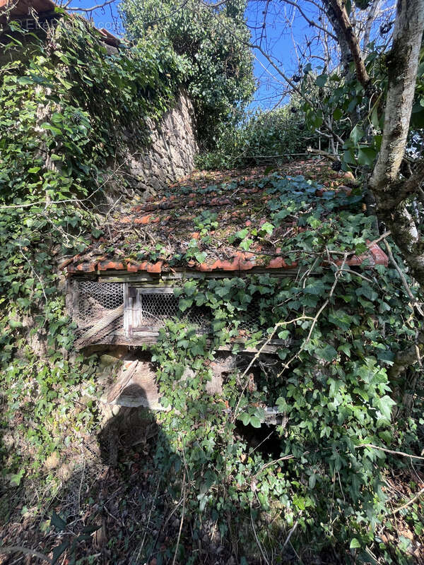 Maison à POULIGNY-NOTRE-DAME