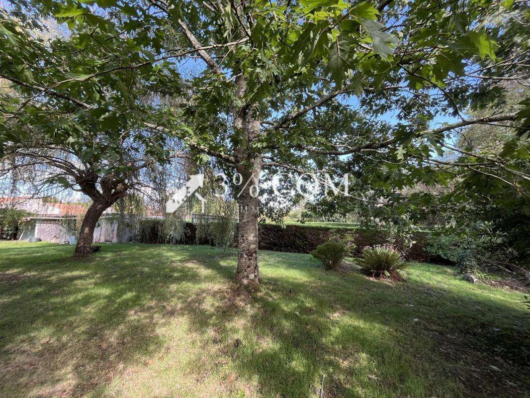 Maison à SAINT-PHILBERT-DE-GRAND-LIEU