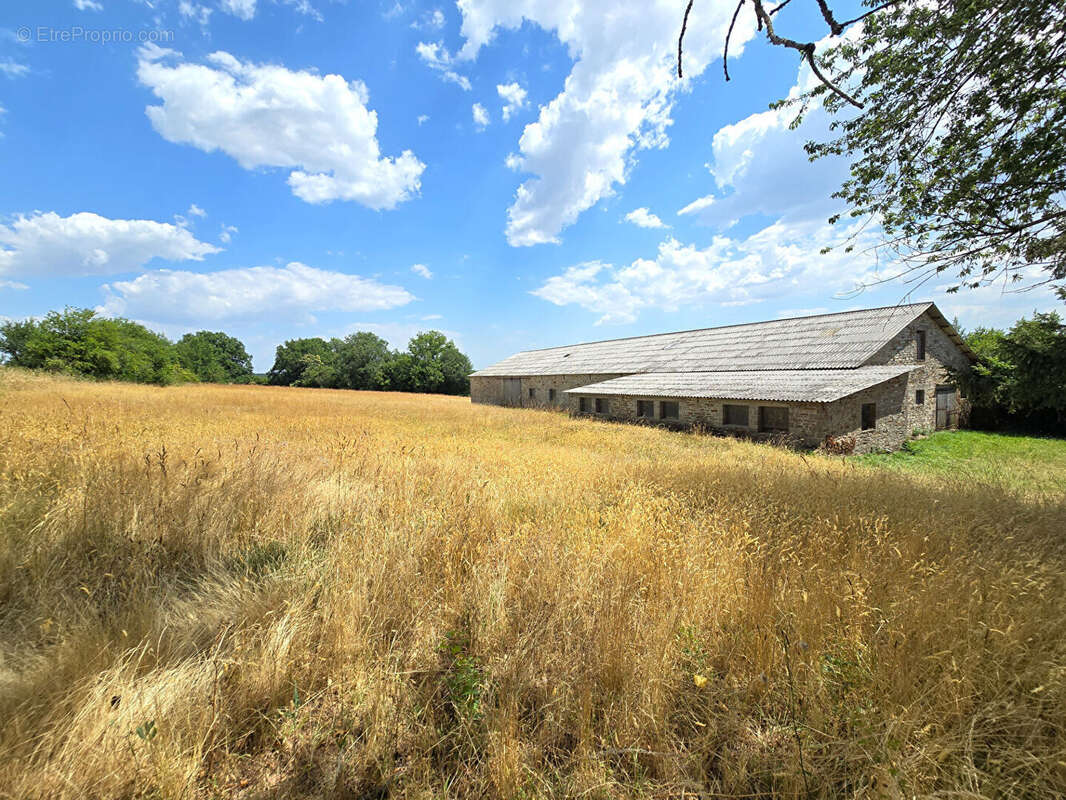 Corps de ferme avec maison, appartement et dépendances - Durenque - photo 5