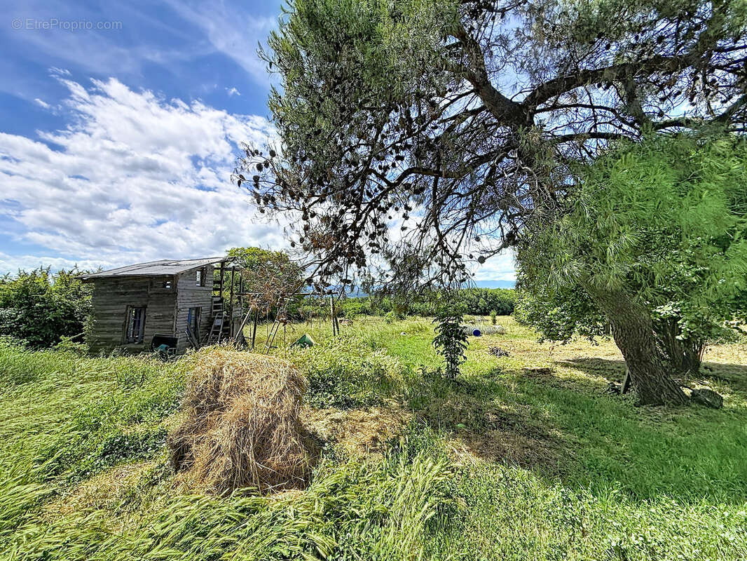 ALBON – Propriété 356 m² sur 2,8 hectares – Chevaux, activité agricole ou projet familial - photo 19