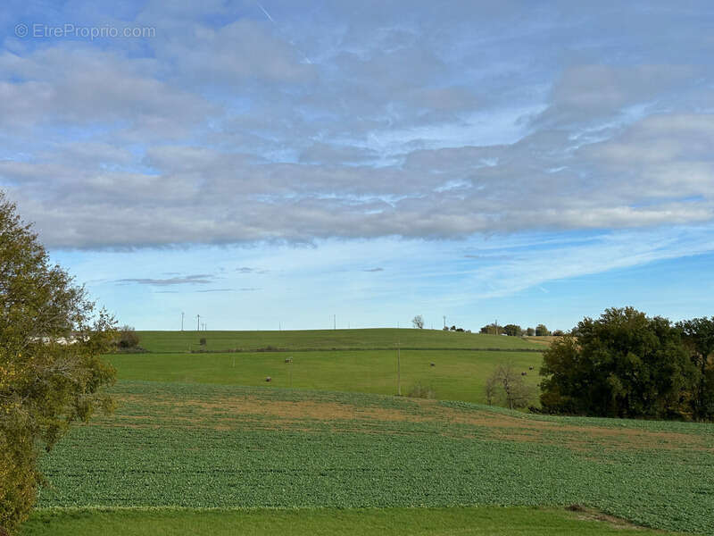 Dpt Gers (32) - à BELMONT terrain à vendre de 2694 m² - photo 4