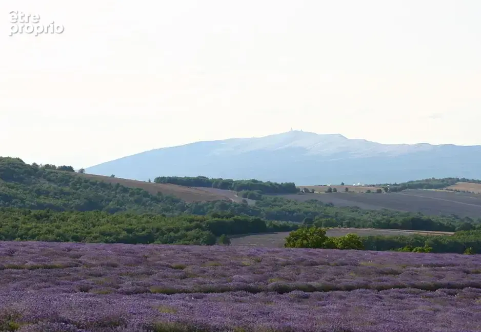 Terrain 572 m² à vendre à Saint-Christol (84390) - photo 2