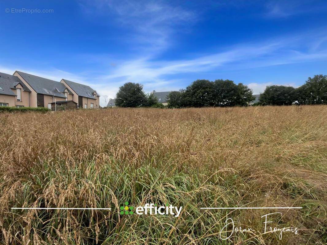 Terrain à LES LOGES-MARCHIS