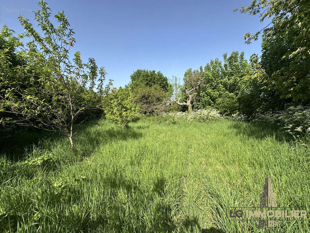 Maison à SAINT-SAUFLIEU