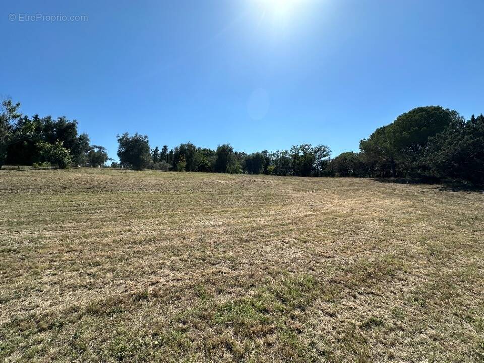 Terrain à ROQUEBRUNE-SUR-ARGENS