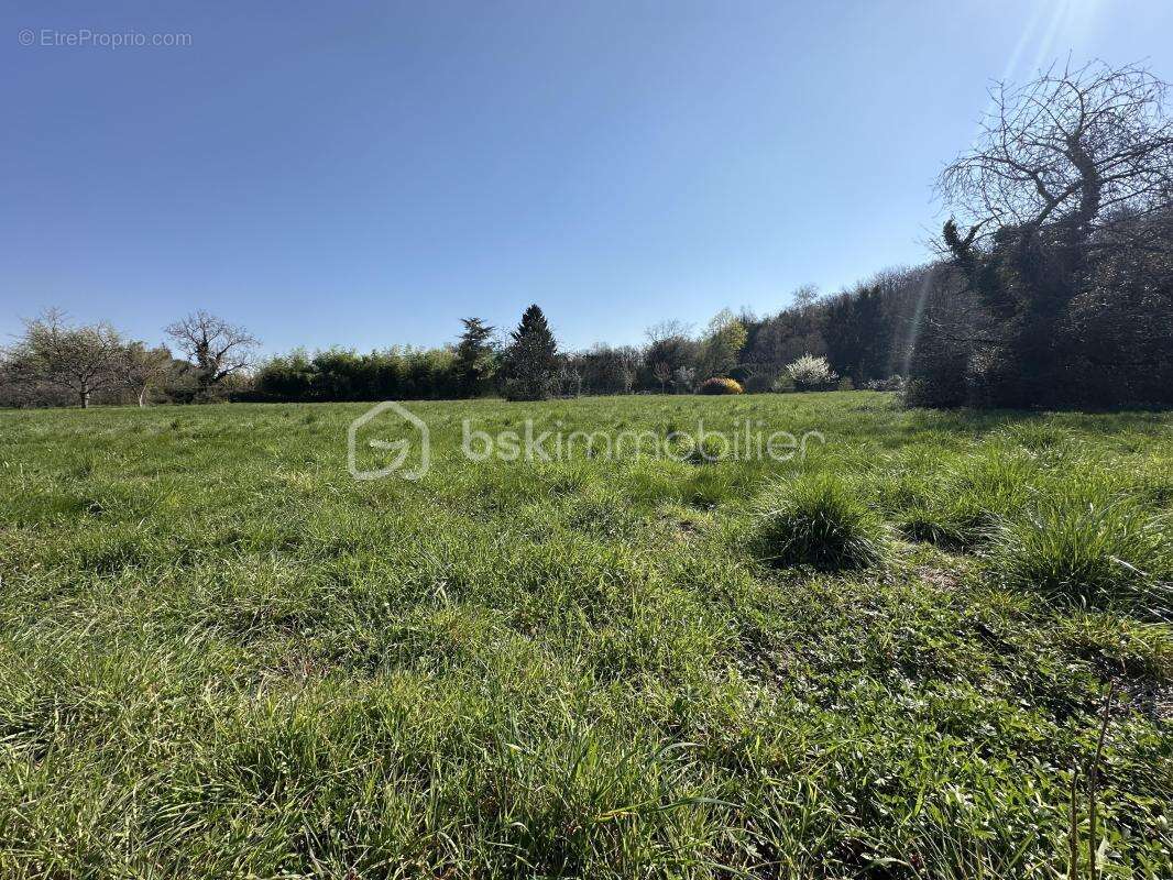 Terrain à SAINT-BONNET-DE-MURE