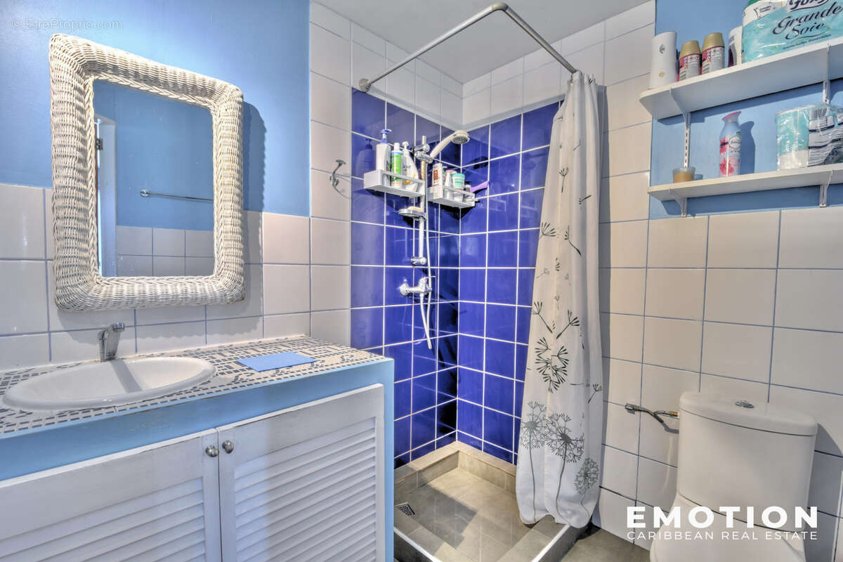 Ensemble Immobilier 160 m2 - LORIENT, Saint-Barthelemy - photo 12