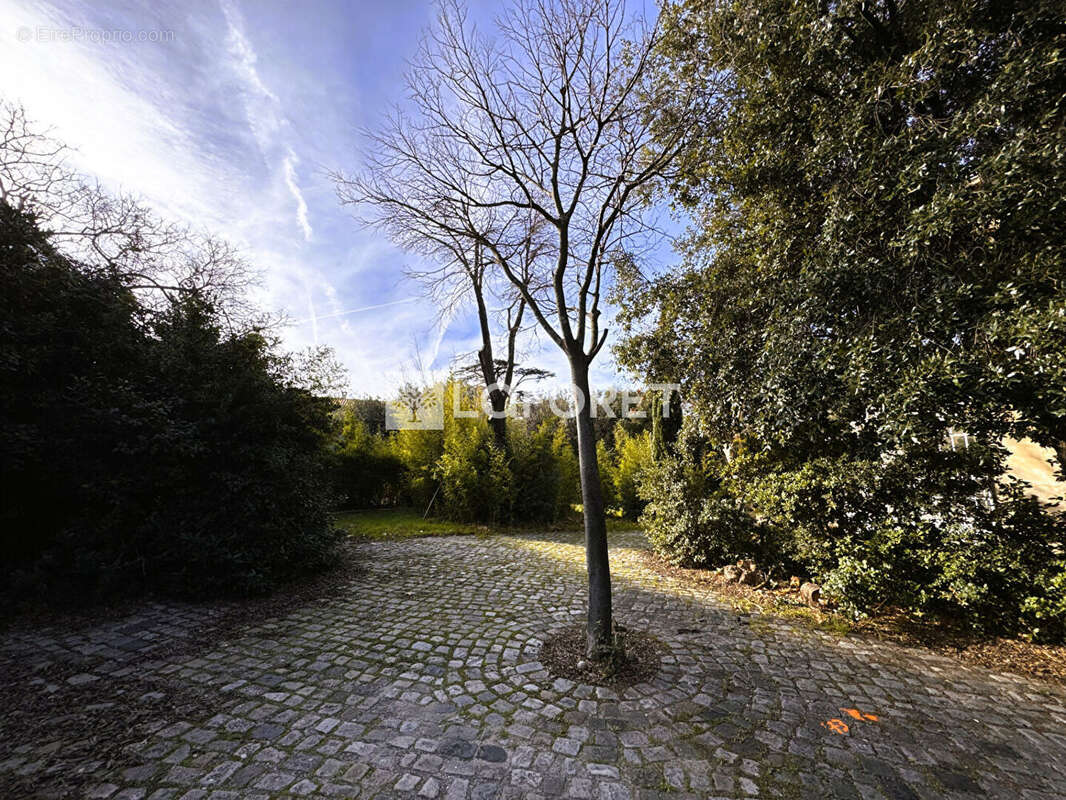 Terrain à MARSEILLE-8E