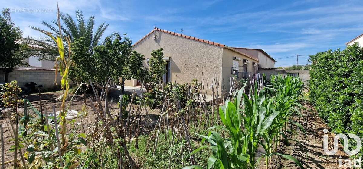 Photo 3 - Appartement à PIA